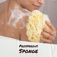 Prosperous Sponge