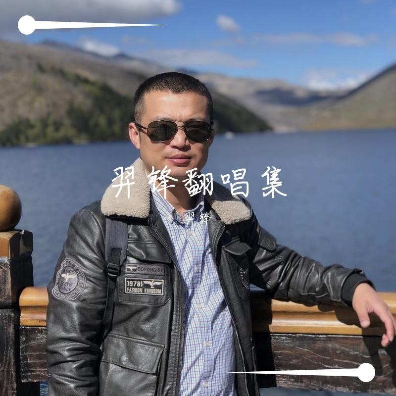 白莲 - 羿锋封面