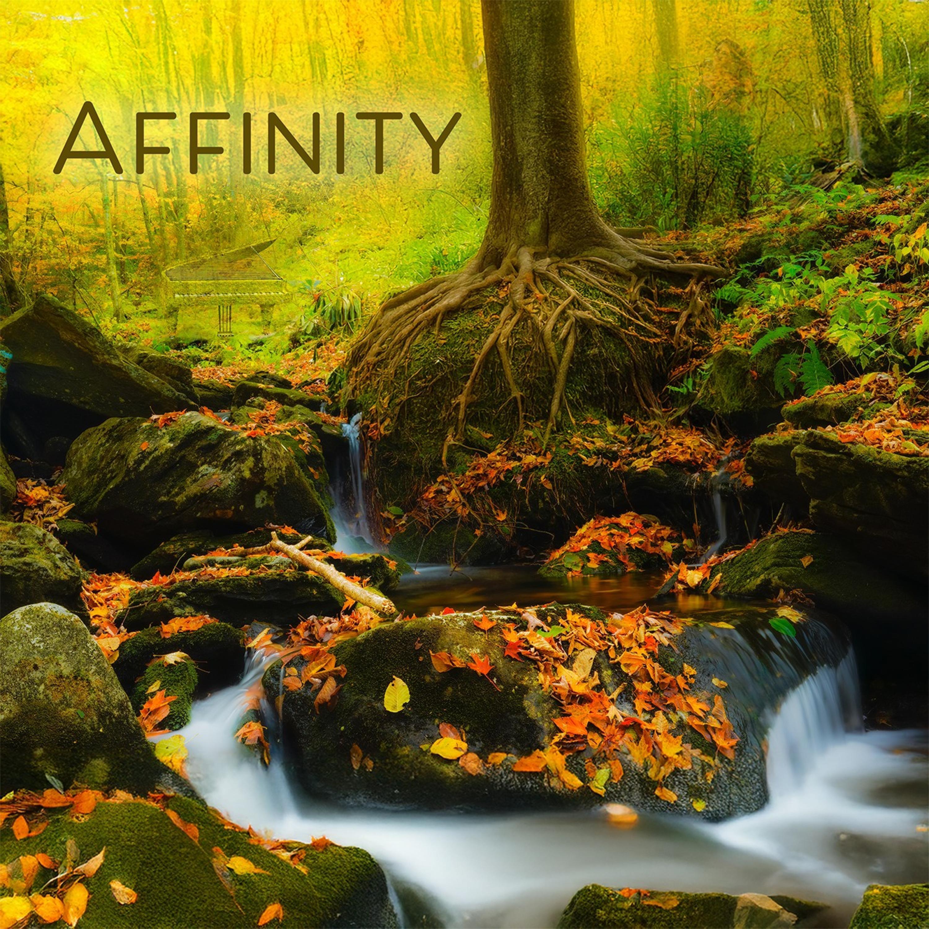 Affinity