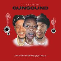 Gun Sound (feat. Slim Vip & LyricForever)