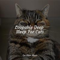 Loopable Deep Sleep For Cats