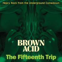 Brown Acid - The Fifteenth Trip