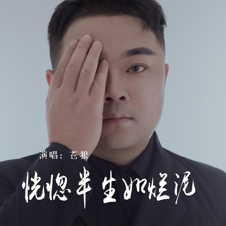恍惚半生如烂泥 (伴奏)封面