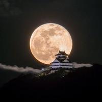 掀不起波澜.资料,掀不起波澜.最新歌曲,掀不起波澜.MV视频,掀不起波澜.音乐专辑,掀不起波澜.好听的歌
