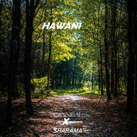 Hawani (Hiphop)