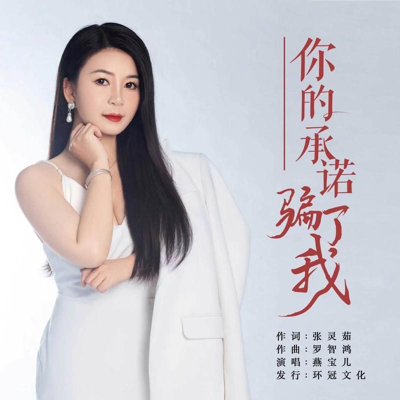 你的承诺骗了我封面