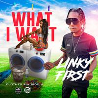 What I Want (feat. Linky First)