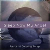 Sleep Now My Angel: Peaceful Calming Songs for a Restful Sleep