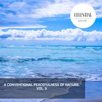 A Conventional Peacefulness of Nature, Vol. 5