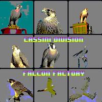 Falcon Factory