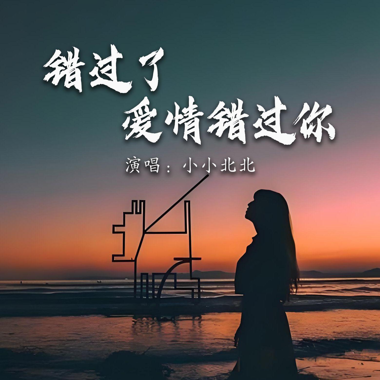 错过了爱情错过你封面