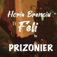 Prizonier (feat. Feli)