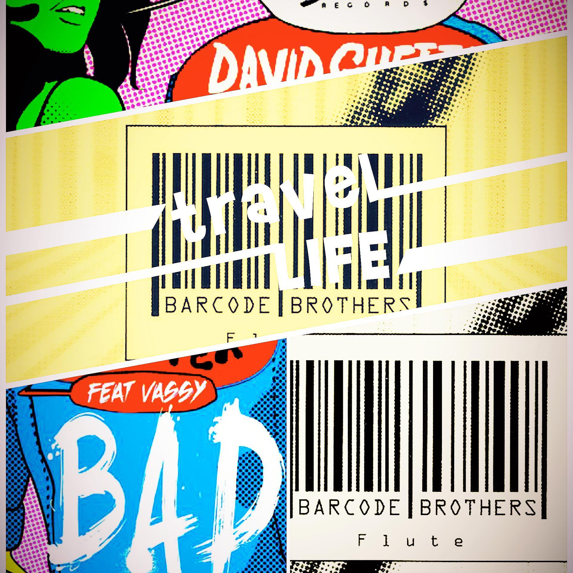 Barcode Brothers-电子旋律【Flute、Bad】Remix（任吉元 remix）