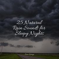 25 Natural Rain Sounds for Sleepy Nights