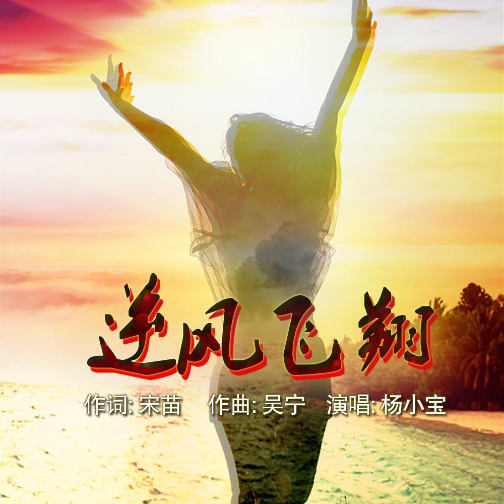 逆风飞翔封面
