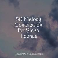 50 Melody Compilation for Sleep Lounge