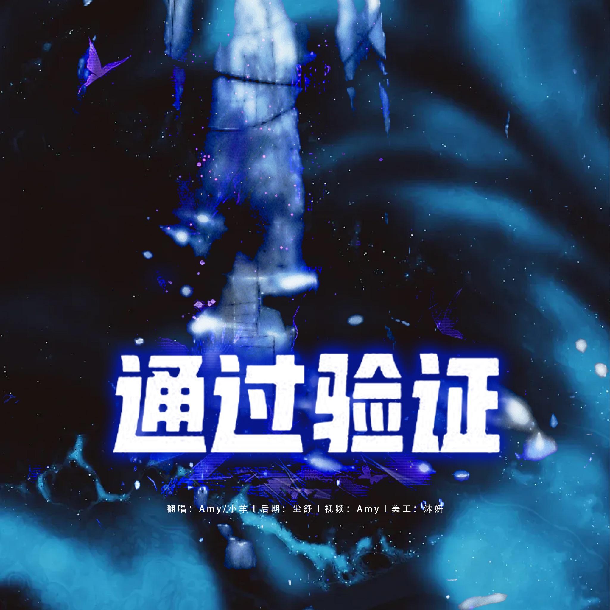 通过验证封面