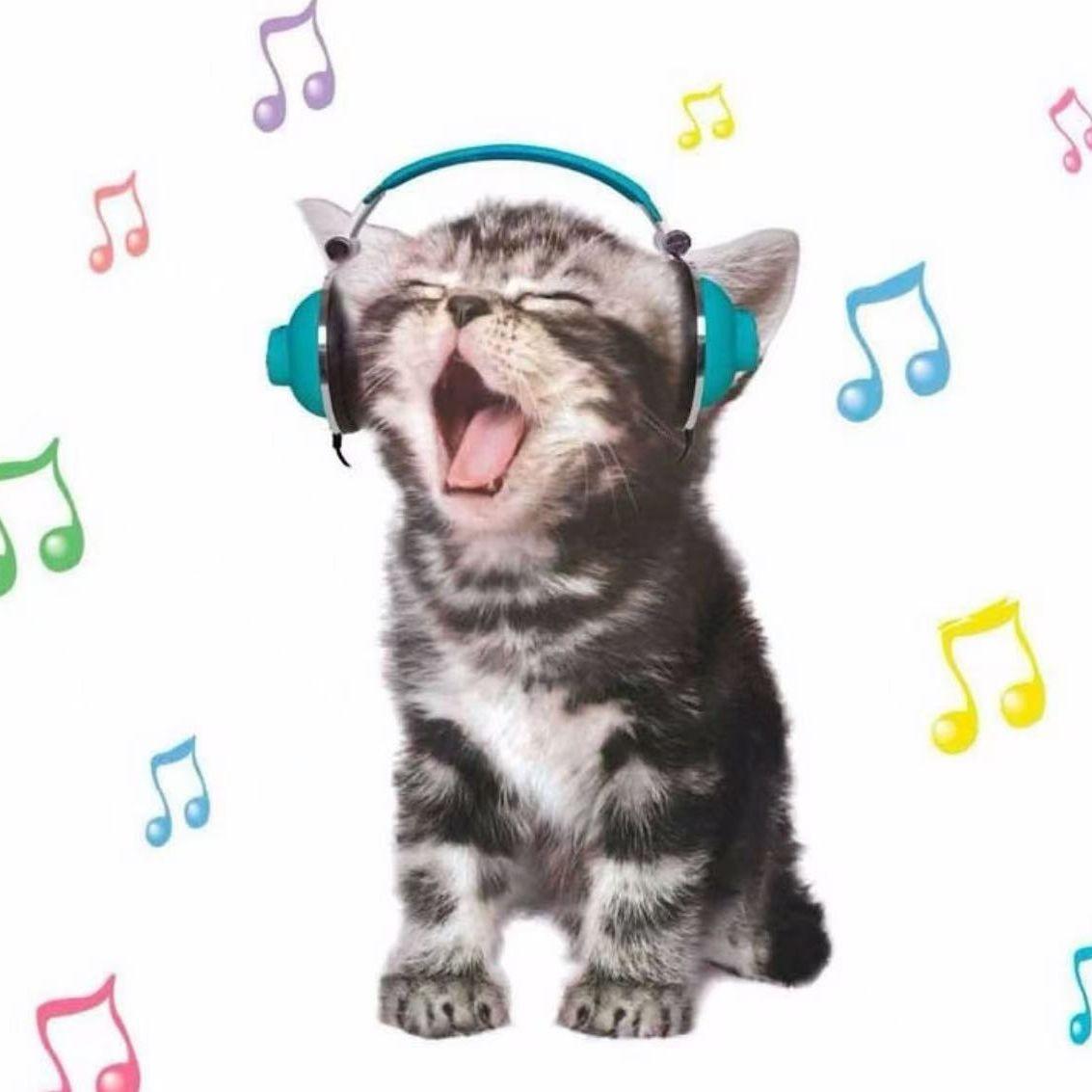 讴歌 Asian rock type beat