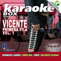 Vicente Primera Fila Vol. 1 (Karaoke Version)