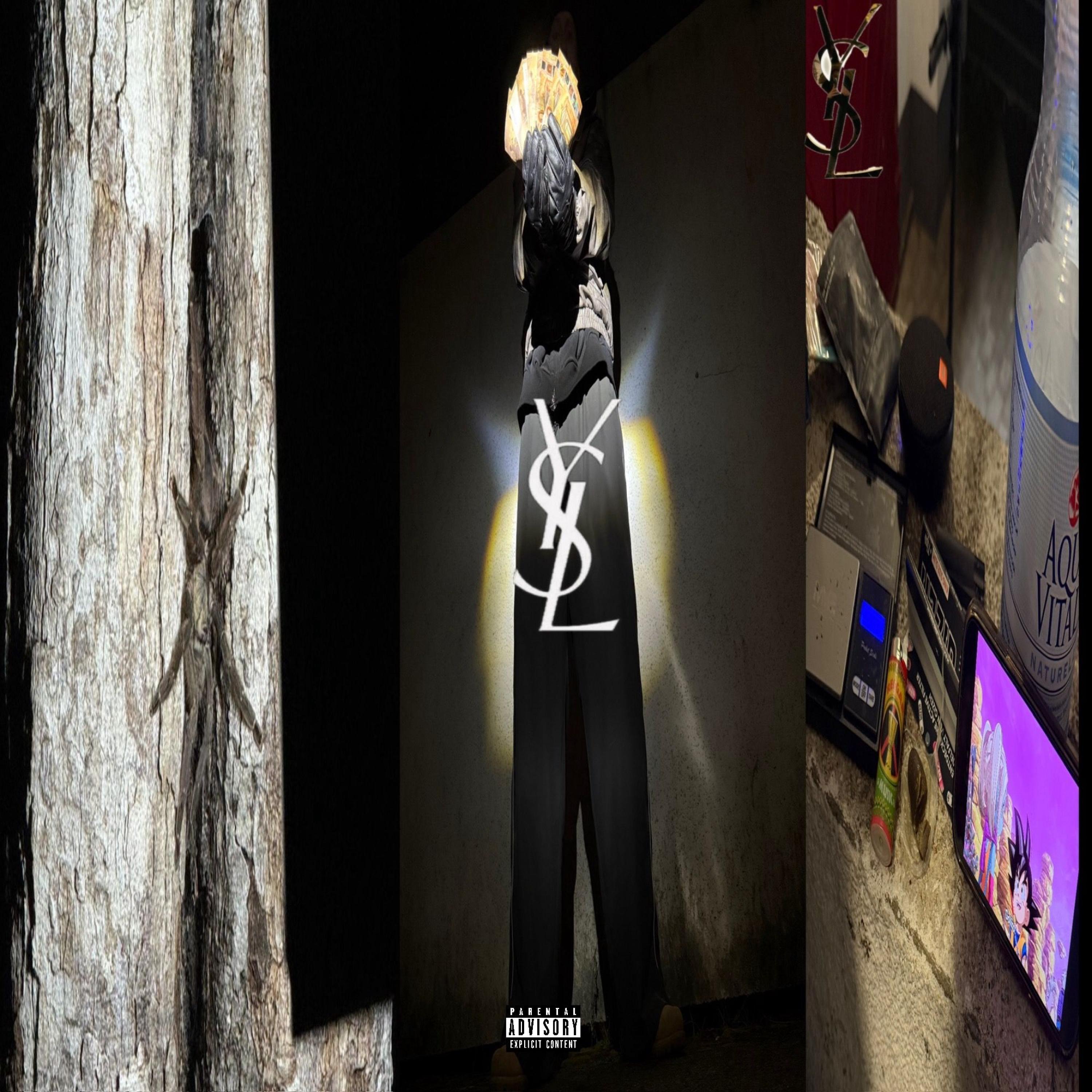 "¥$L" (feat. litschy) (Remix)