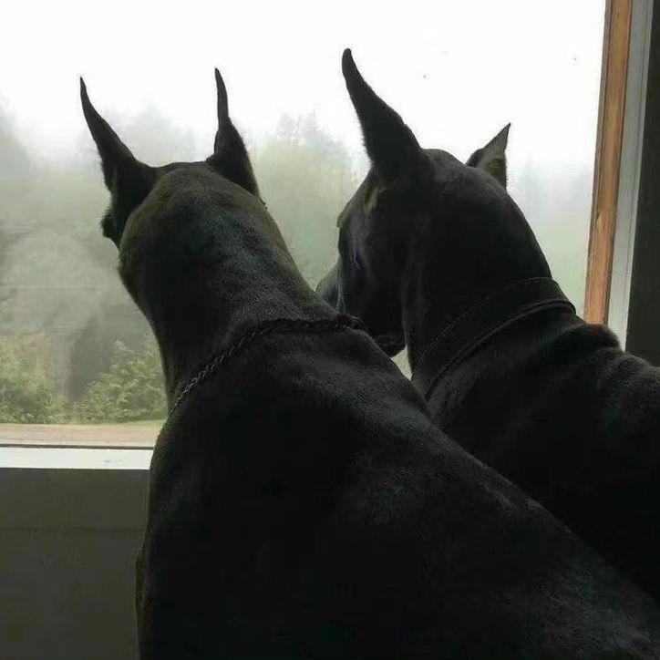 Free“宫殿当中”Wheezy Type Beat