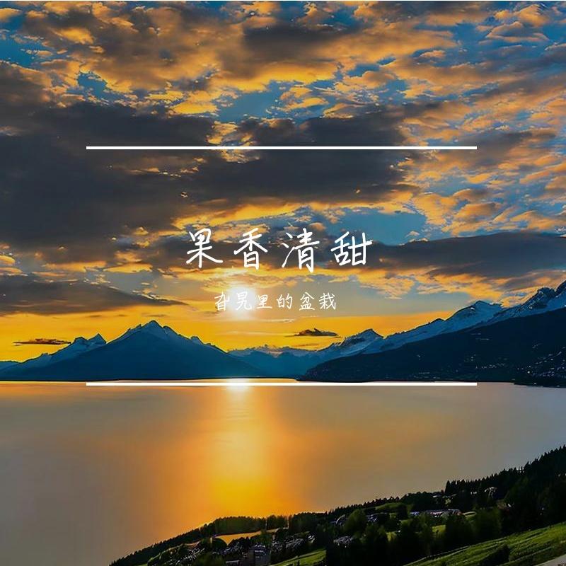 遗憾收场封面