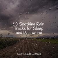 50 Soothing Rain Tracks for Sleep and Relaxation