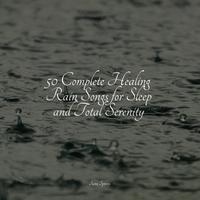 50 Loopable Rain Sounds for Sleep and Meditation