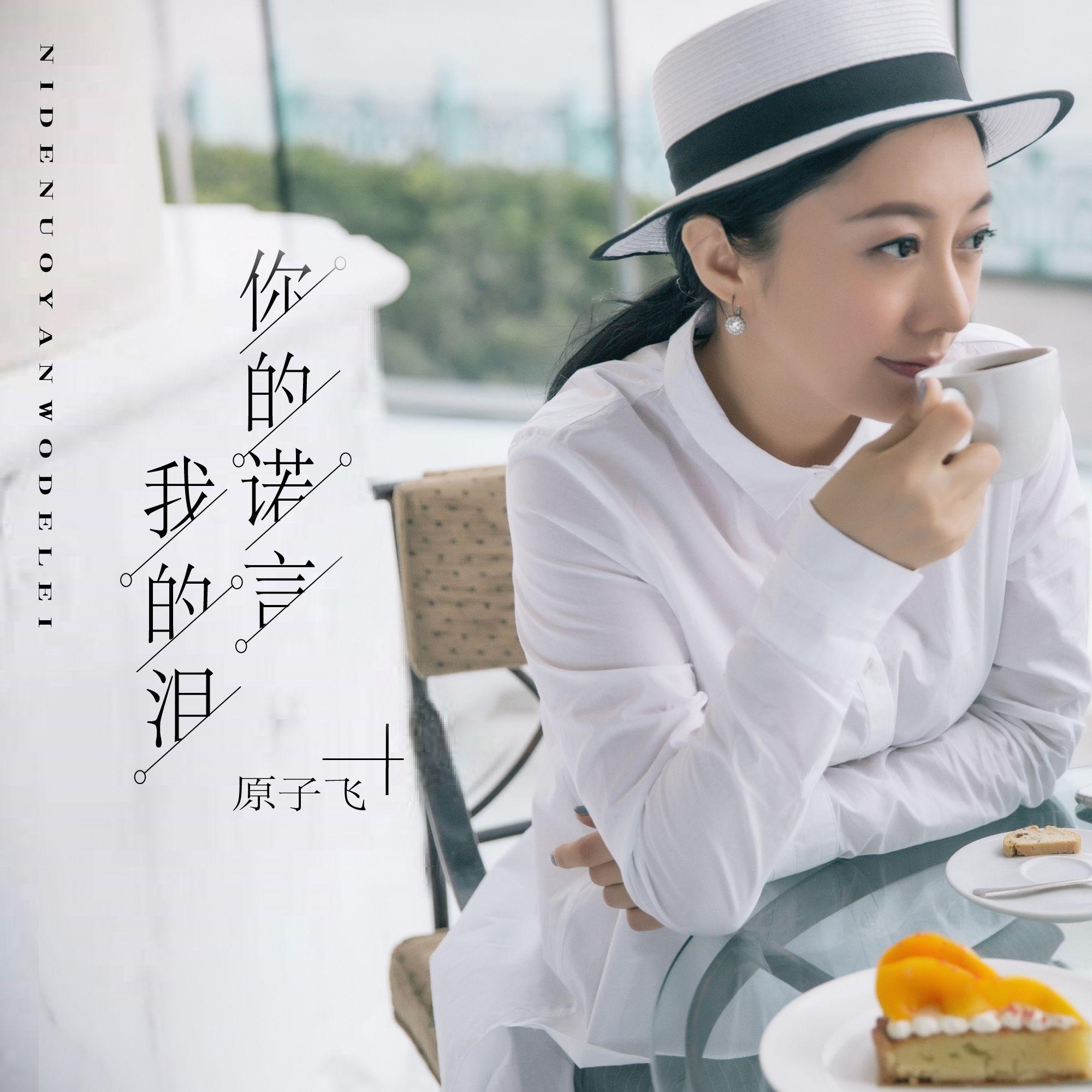 你的诺言我的泪 (DJ版)封面