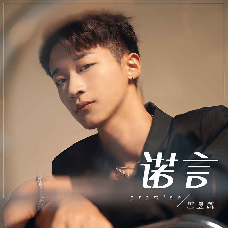 诺言(DJ版)封面