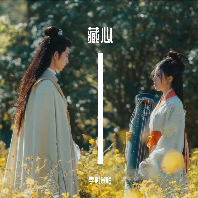 藏心封面
