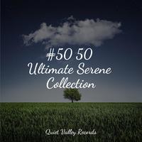 #50 50 Ultimate Serene Collection