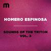 Homero Espinosa - Wildpitch 2023 (Touch of Jazz Mix)