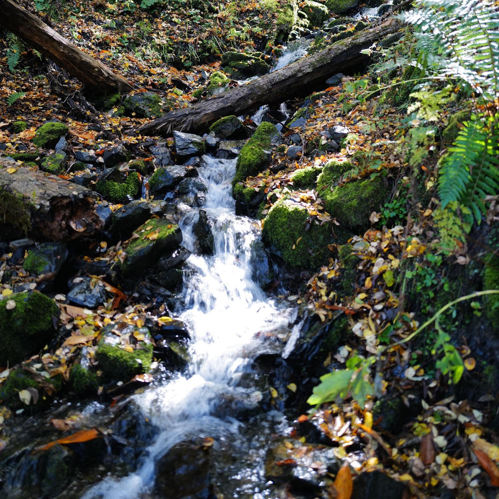 スリープ エィドゥ