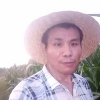 周东风