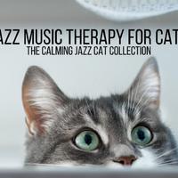 Jazz Music Therapy for Cats