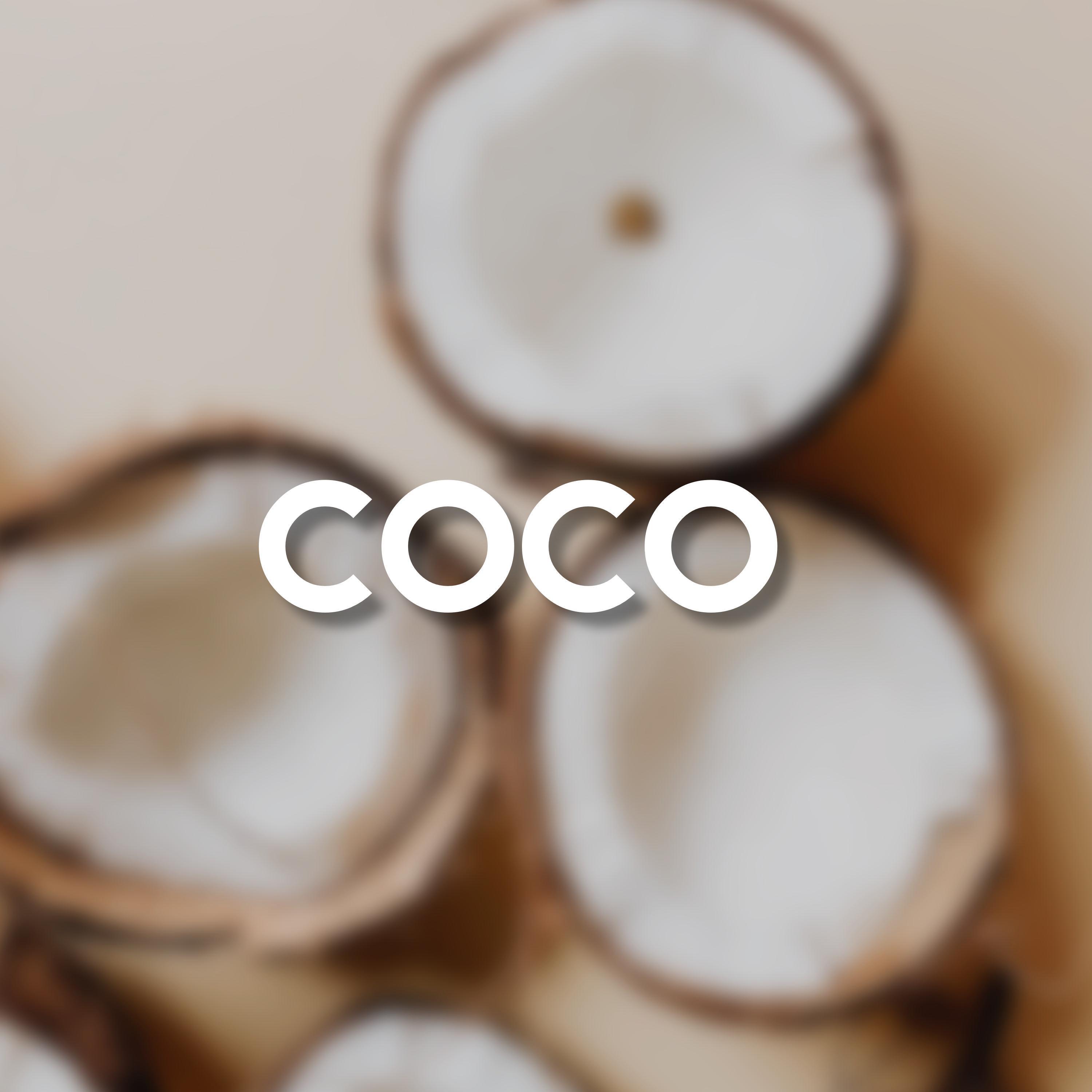 Coco (Dance Battle Beat)_Ajay Adam_Coco (Dance Battle Beat) | 在线播放_Coco (Dance Battle Beat)歌词_Coco (Dance Battle Beat)下载 | 网易云音乐