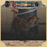 Swiftness Compartment