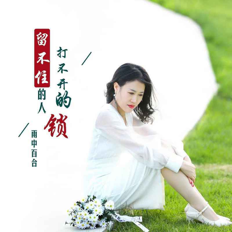 留不住的人打不开的锁封面