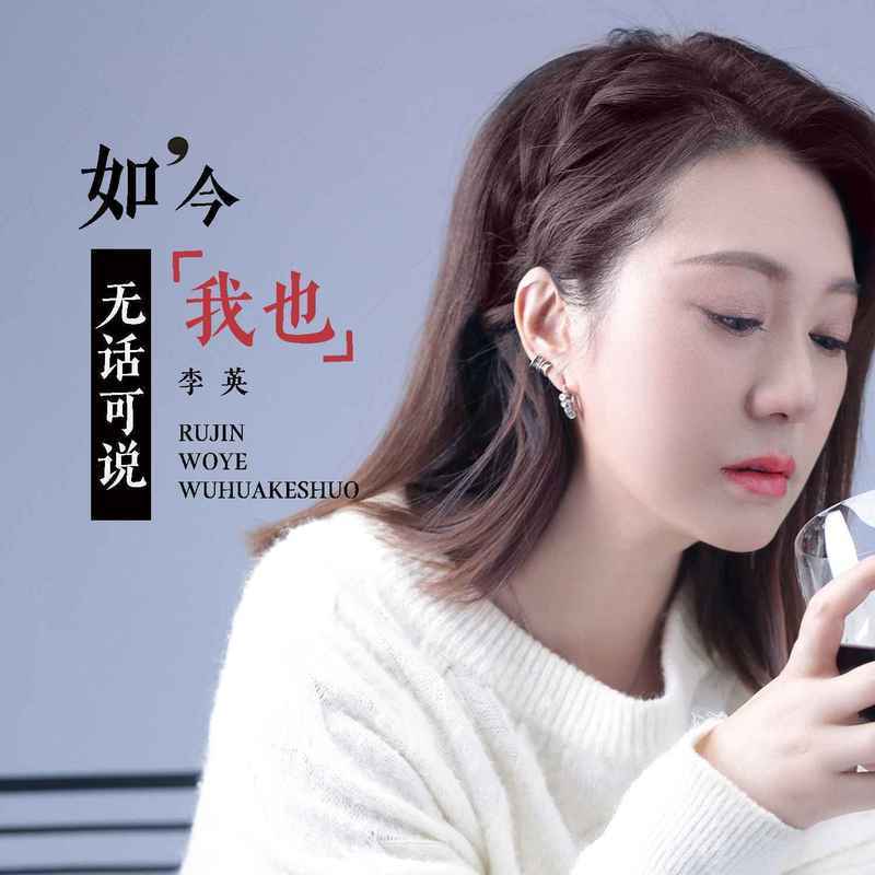 如今我也无话可说 (DJ版伴奏)封面