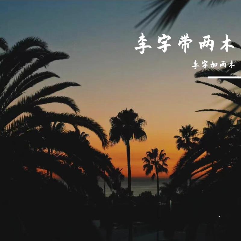 夏天与晚星