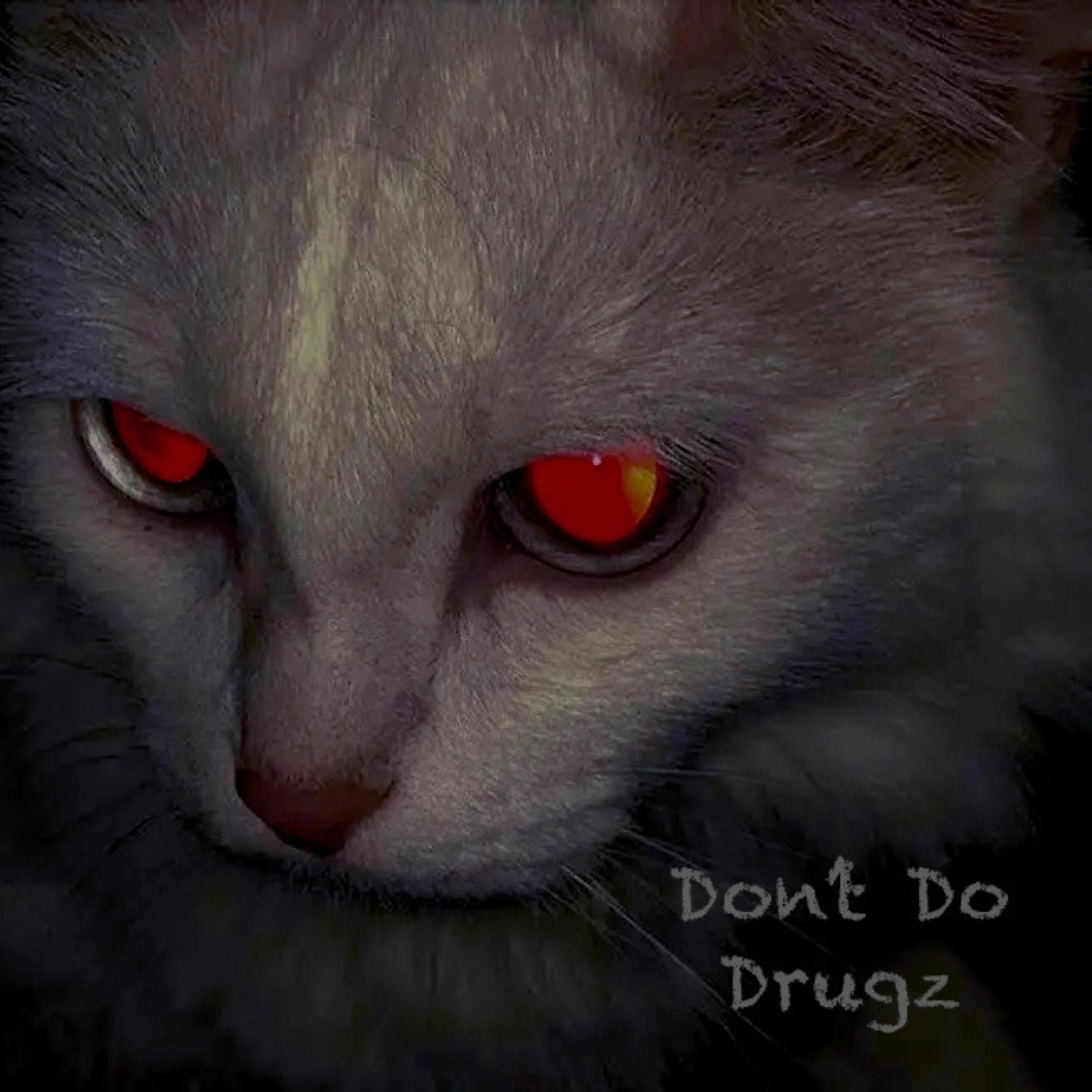 Lodëd Diapër (feat. Bstarrguapo)