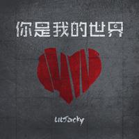 你是我的世界