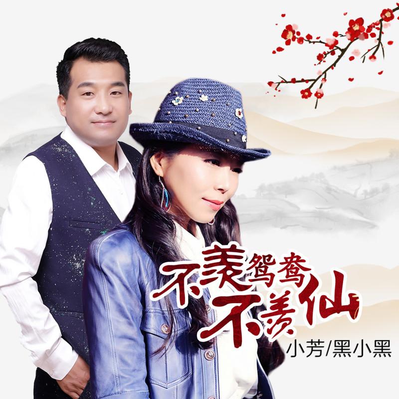 不羡鸳鸯不羡仙 (DJ何鹏版)封面
