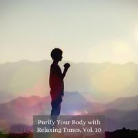 Purify Your Body with Relaxing Tunes, Vol. 10