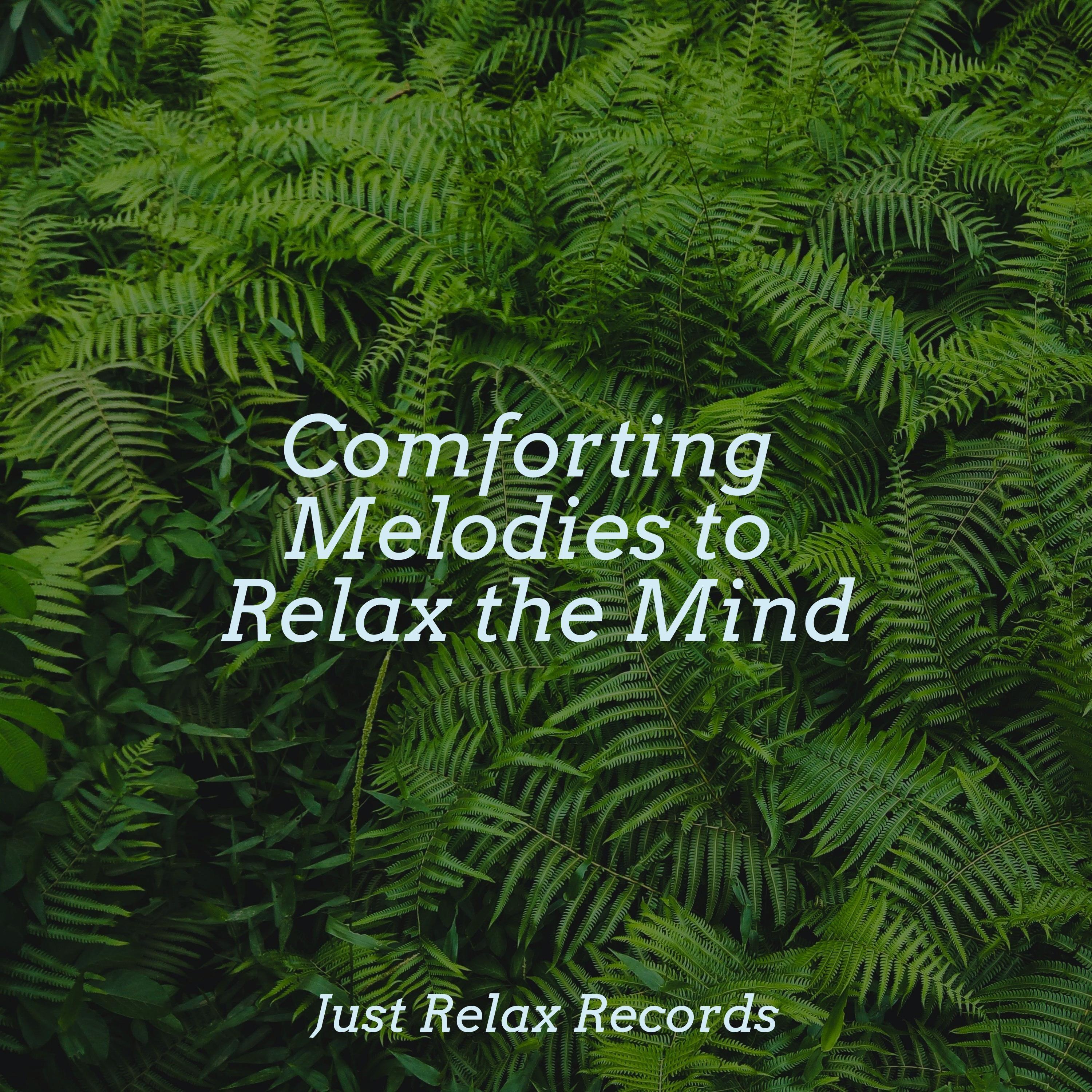Echoes of Divine Silence Música a Relajarse/Thunderstorm Sound Bank/Massage Therapy Music 单曲