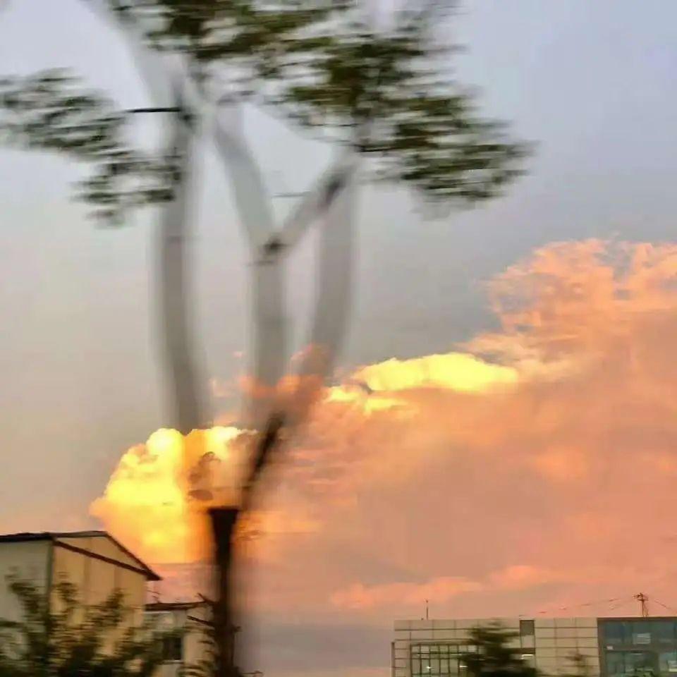 青春的颤音封面