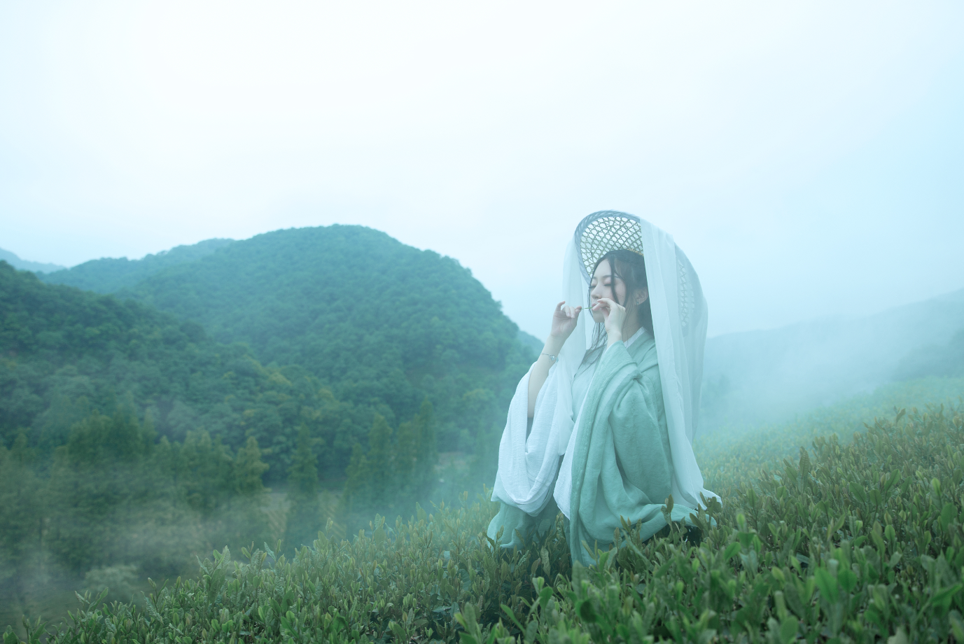 伤心花·念碧瑶