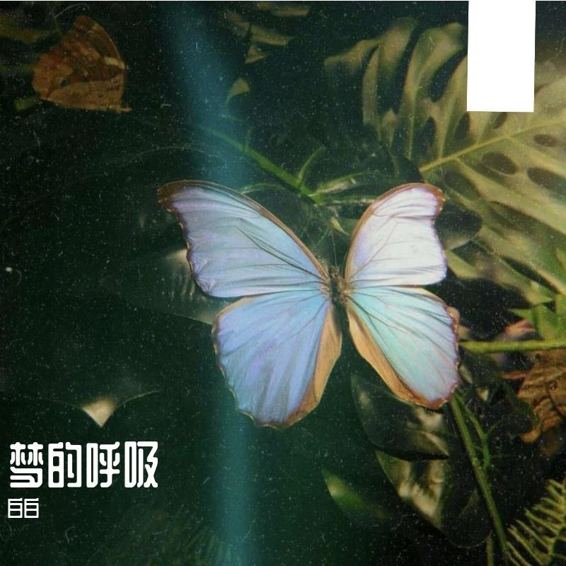 播放列表封面