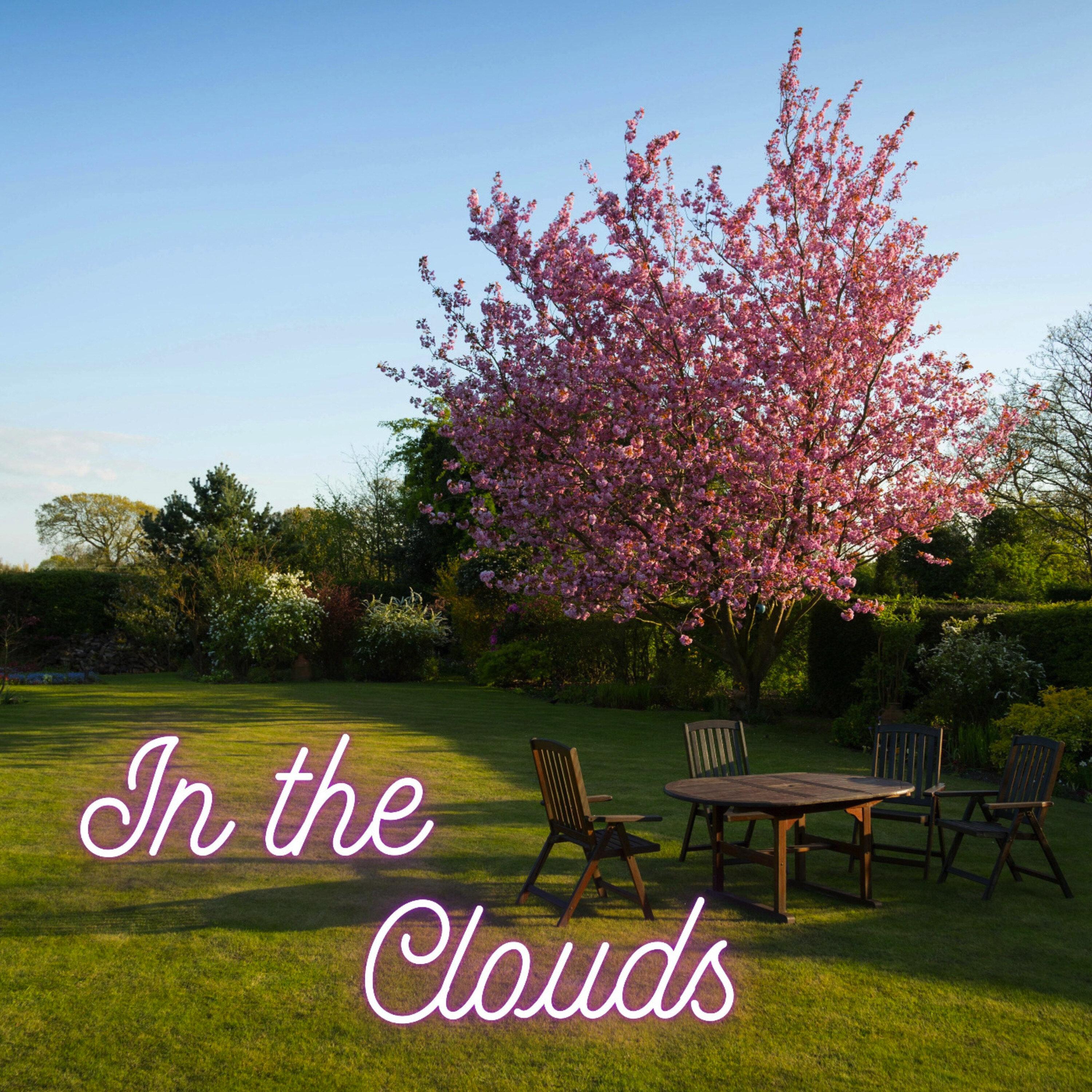 In the Limelight (Vocal Mix)